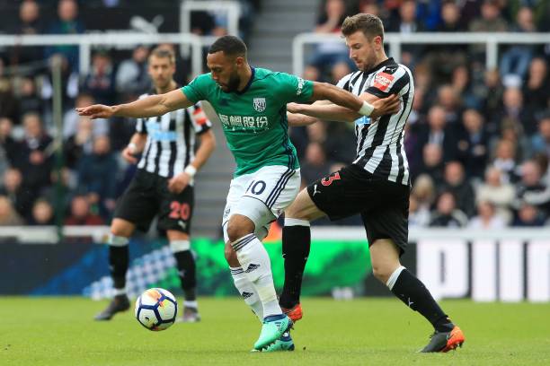 背景是哈维 背景是哈维