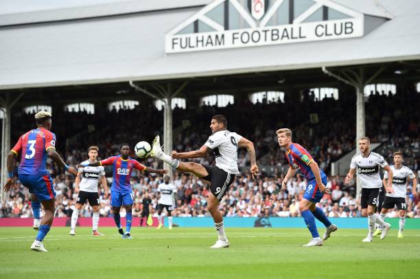 都曾在职业 都曾在职业